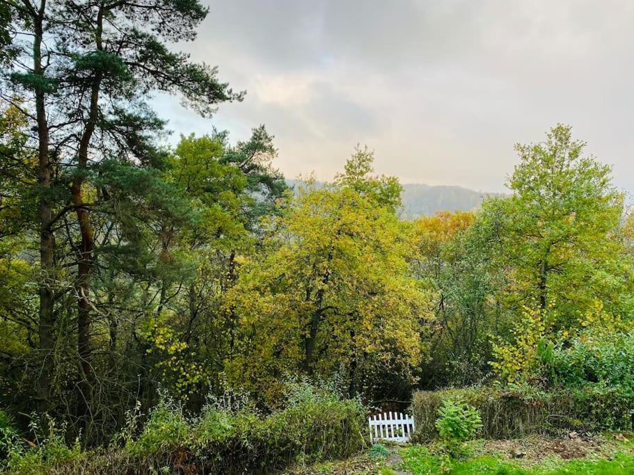Schoene Ferienwohnung Mit Waldblick In Dillenburg Eksteriør bilde